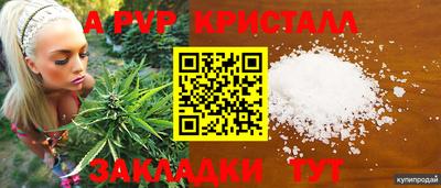 mdpv Обнинск