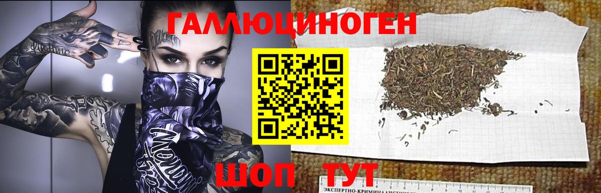 Псилоцибиновые грибы мицелий Россошь