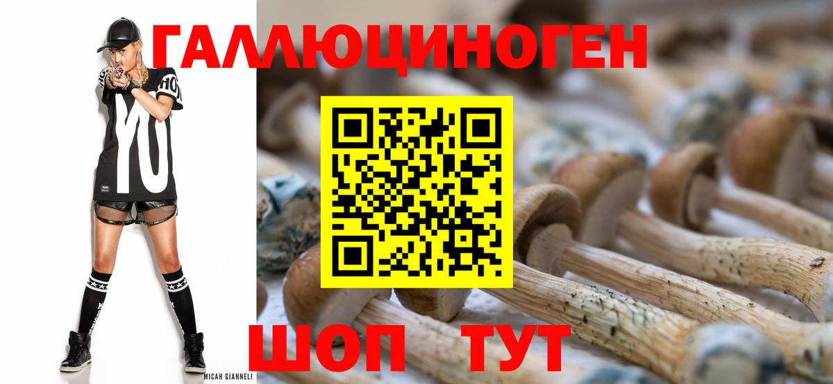 Псилоцибиновые грибы Magic Shrooms  Вход с VPN  что такое   Россошь 